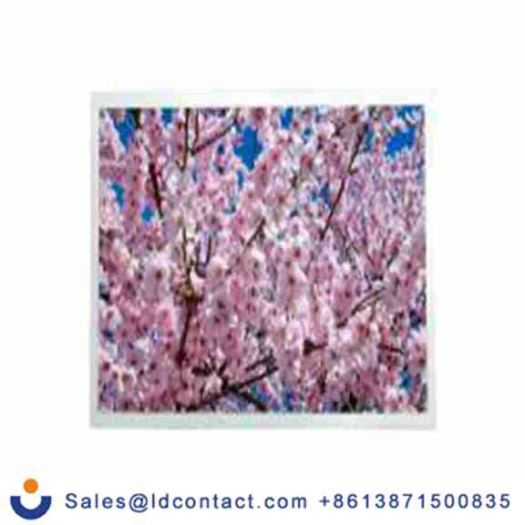 RS PRO 254-0015  12.1 in TFT液晶屏, HDMI接口 触摸屏, LED背光源, 600 cd/m²亮度, 可视区域261.12 x 163.2 mm, 分辨率1280 x 8