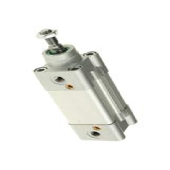 RS PRO,480-2119,双动式作用 气动活塞杆气缸, 32 mm孔径, 橡胶缓冲 25 mm, CDEM系列