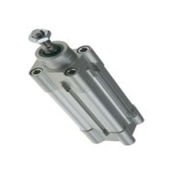 RS PRO,480-2125,双动式作用 气动活塞杆气缸, 32 mm孔径, 橡胶缓冲 50 mm, CDEM系列