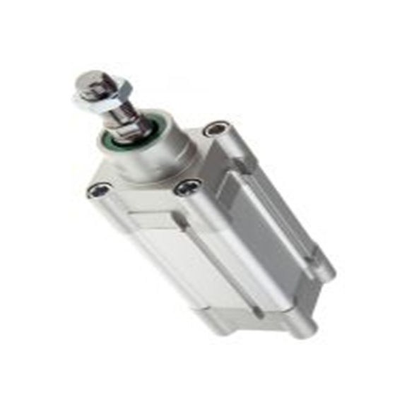 RS PRO,480-2248,双动式作用 气动活塞杆气缸, 50 mm孔径, 橡胶缓冲 50 mm, CDEM系列