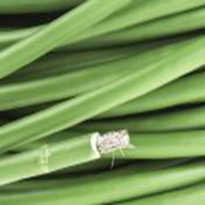 RS PRO,370-6199,K型热电偶延长线, PVC绝缘, 25m长, 最高+105°C, 屏蔽, 单芯