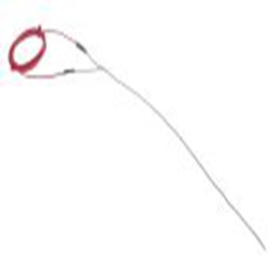 RS PRO,611-8286,N型矿物绝缘热电偶, 探头Φ1.5mm x 500mm, 可测+1250°C, 线长2m, 裸线尾线接端, 铬镍铁合金600探头