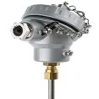 RS PRO,787-7810,K型矿物绝缘热电偶, 探头Φ6mm x 250mm, 可测+1100°C, 紧凑型 KNS 头接端, 不锈钢探头