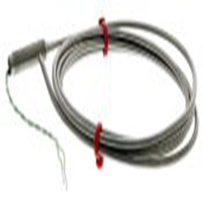 RS PRO,787-7848,K型矿物绝缘热电偶, 探头Φ3mm x 1.5m, 可测+1100°C, 线长100mm, 裸线尾线接端, 不锈钢探头