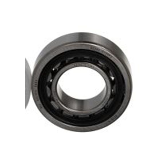 RS PRO,248-2941, NU205-E-TVP3 滚动轴承, 25 mm内径 52 mm外径 钢滚子 28 kN 29.5 kN