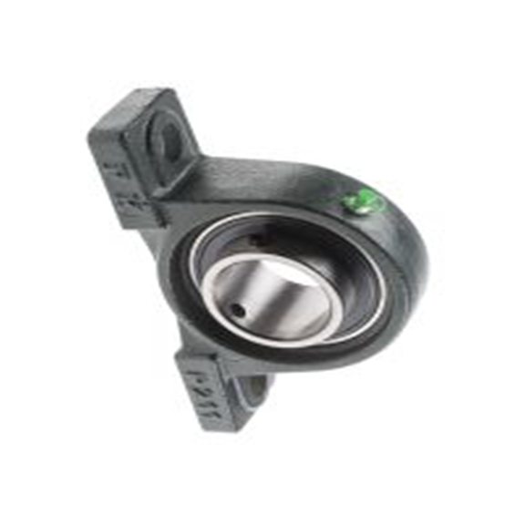 RS PRO,750-8999,铸铁, UCP211 座架, 55 mm内径, 63.5 mm中心高度, 219 mm长, 20 mm安装孔