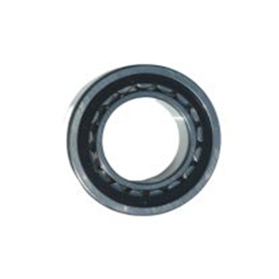 RS PRO,248-2965, NU2204-E-TVP3 滚动轴承, 20 mm内径 47 mm外径 钢滚子 31.1 kN 32.8 kN