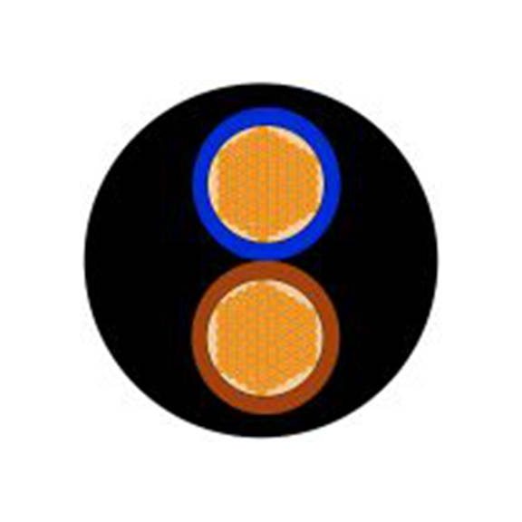 RS PRO,773-9027,2芯, 50 m长 电源电缆, 450 V, 750 V, 黑色 乙烯基丙烯橡胶护套 60 °C, H07RN-F系列