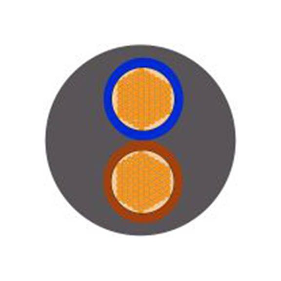 RS PRO,841-2265,2芯, 100 m长 电源电缆, 300 V 聚氯乙烯护套 70 °C, H03VVH2-F系列