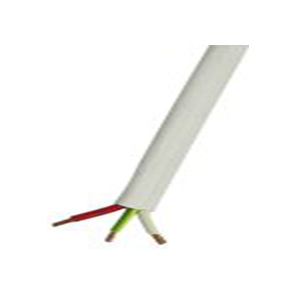 RS PRO,916-3573,RS PRO 两芯双接地电力电缆, 6 mm², 450 V，750 V, 白色PVC护套