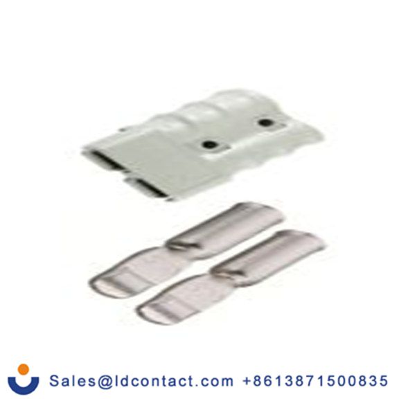 RS PRO,175-6965,模块化电池触点 公, 2路, 600 V 直向定位 175A