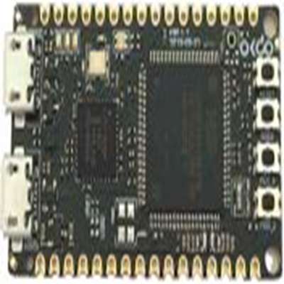 Okdo,OKLPC5569R0-EVB,Okdo  评估测试板 评估测试板, Cortex内核 OKLPC5569R0-EVB, E1