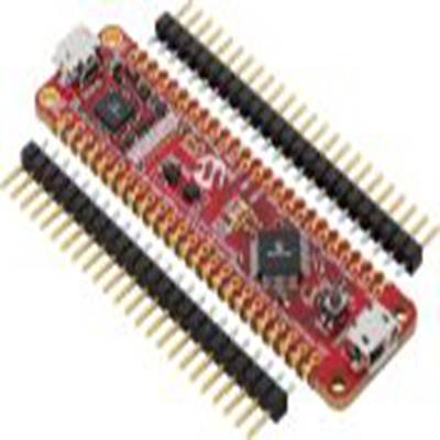 Microchip,EV10K72A,Microchip  PIC24FJ64GU205 微控制器开发工具 开发板, PIC24FJ64GU205处理器, PIC24F内核 EV10K72A, PIC