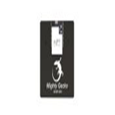 Silicon Labs,SLWRB4305D,Silicon Labs  无线入门套件 ZigBee, 螺纹, 蓝牙 入门套件, 无线电, Radio Board芯片, 用于无线入门套件主板 1.1